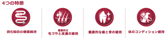 4つの特徴 消化吸収の健康維持、健康的な毛づやと皮膚の維持、健康的な歯と骨の維持、体のコンディション維持