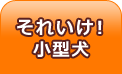 それいけ!小型犬